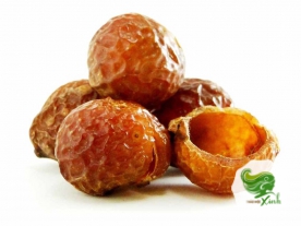 Bồ Hòn Tách Hạt