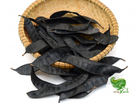 Bồ Kết Khô
