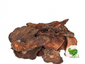 Hà Thủ Ô Đỏ